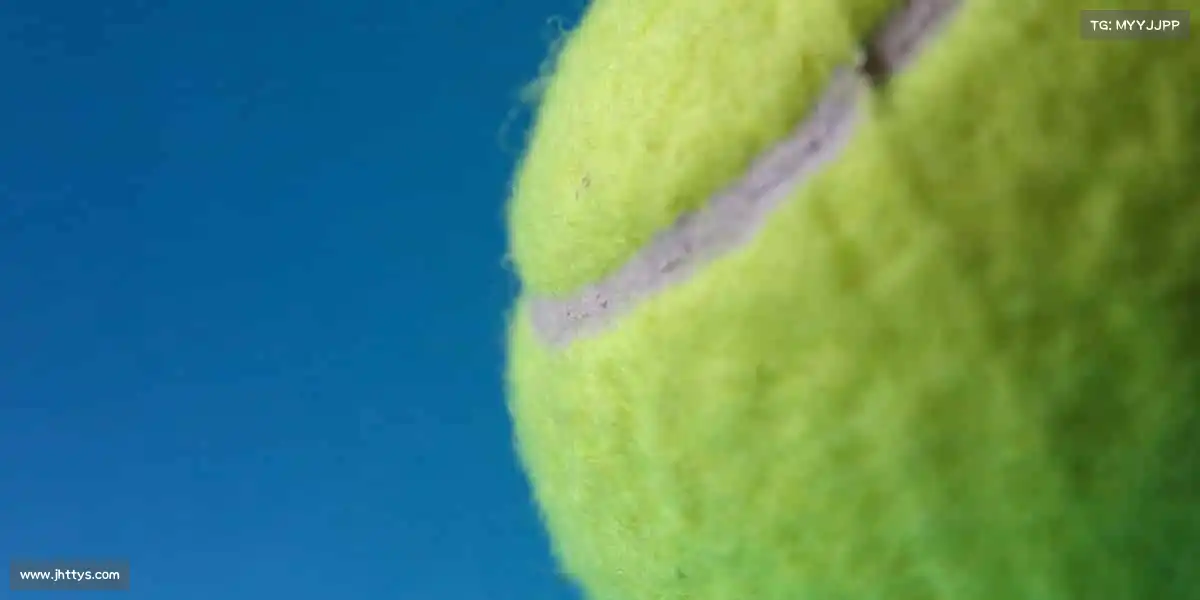 为什么选择我们